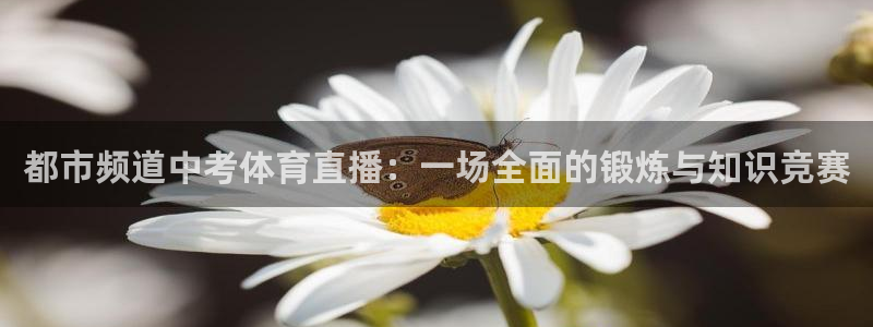 nba说球帝直播在线观看：都市频道中考体育直播：一场全面的锻炼与知识竞赛