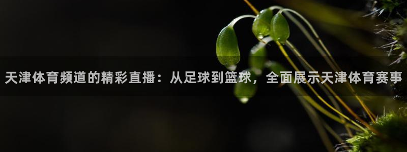 说球帝在线直播app下载：天津体育频道的精彩直播：从足球到篮球，全面展示天津体育赛事
