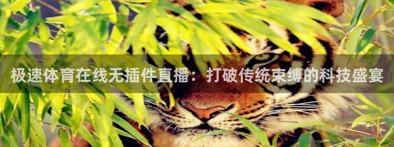 说球帝app下载：极速体育在线无插件直播：打破传统束缚的科技盛宴