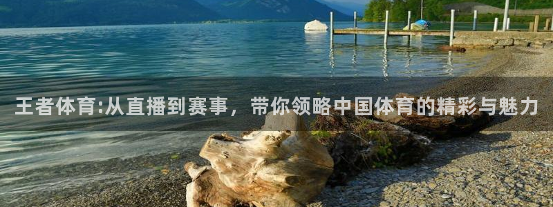 nba直播免费高清无插件直播说球帝：王者体育:从直播到赛事，带你领略中国体育的精彩与魅力