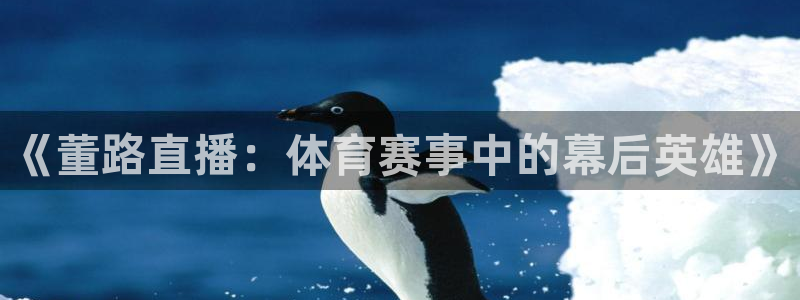 说球帝nba直播在线篮球：《董路直播：体育赛事中的幕后英雄》