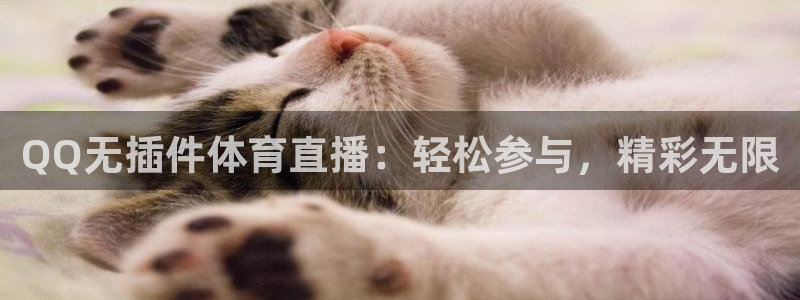 说球帝nba直播免费高清：QQ无插件体育直播：轻松参与，精彩无限