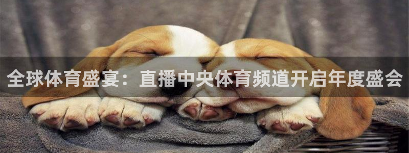 nba直播说球帝在线观看免费：全球体育盛宴：直播中央体育频道开启年度盛会
