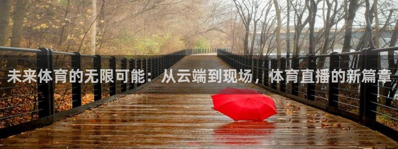 说球帝足球直播：未来体育的无限可能：从云端到现场，体育直播的新篇章