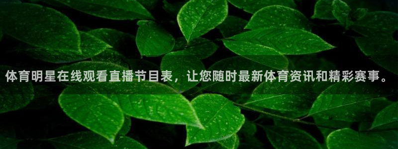说球帝免费观看篮球直播：体育明星在线观看直播节目表，让您随时最新体育资讯和精彩赛事。