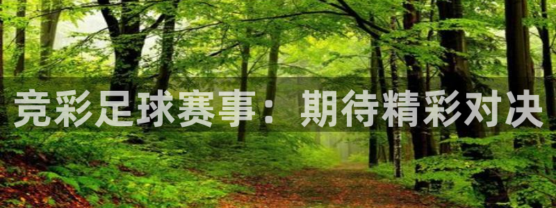 说球帝体育直播官网：竞彩足球赛事：期待精彩对决