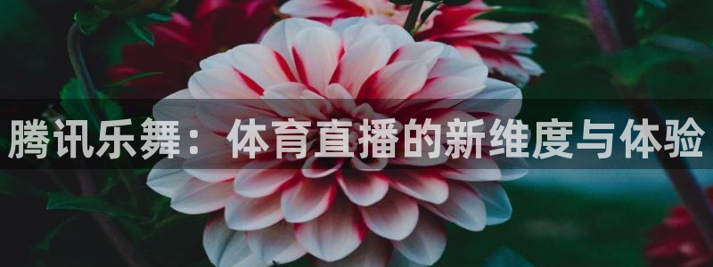 说球帝nba直播在线观看免费下载：腾讯乐舞：体育直播的新维度与体验