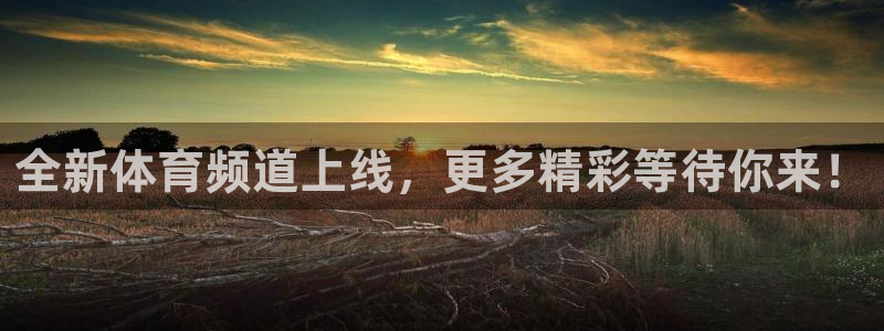 说球帝官网下载：全新体育频道上线，更多精彩等待你来！
