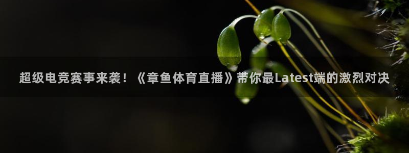 说球帝nba直播：超级电竞赛事来袭！《章鱼体育直播》带你最Latest端的激烈对决