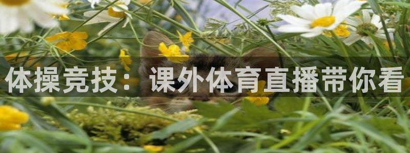 说球帝足球直播在线观看免费：体操竞技：课外体育直播带你看