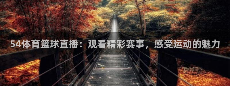 说球帝nba直播在线观看免费app：54体育篮球直播：观看精彩赛事，感受运动的魅力