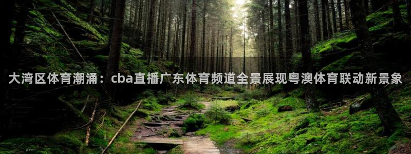 说球帝直播下载：大湾区体育潮涌：cba直播广东体育频道全景展现粤澳体育联动新景象