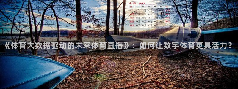 nba说球帝直播在线观看免费：《体育大数据驱动的未来体育直播》：如何让数字体育更具活力？